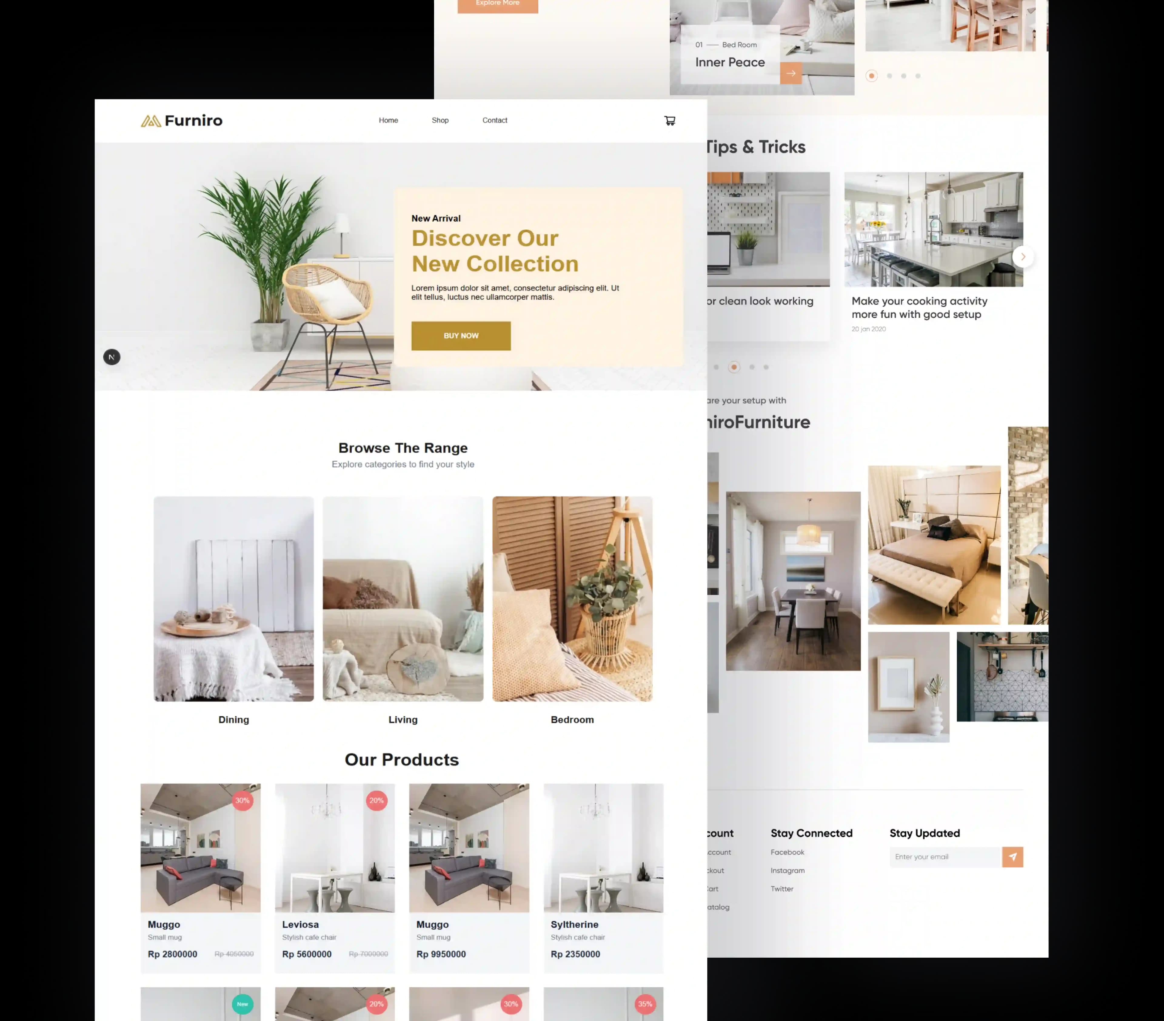 Website E-commerce Furniture Modern